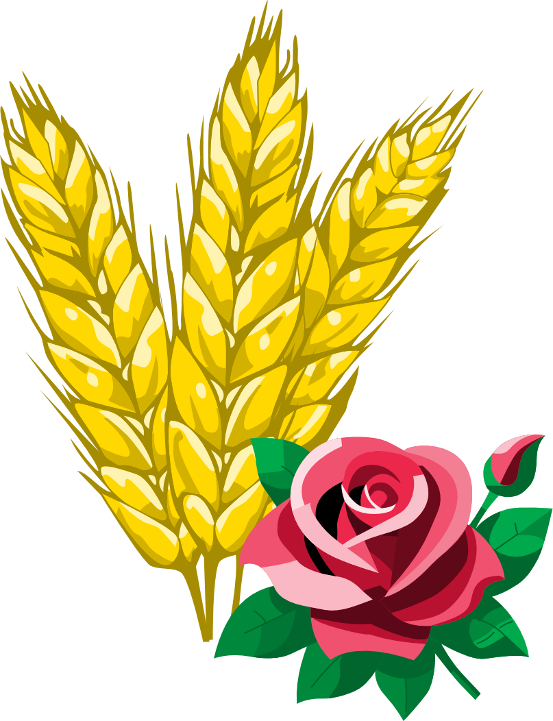 Getreide-Ähre mit Rose